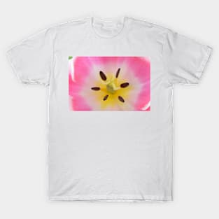 Tulipa  &#39;Valentine&#39;   Triumph Group  Tulip T-Shirt